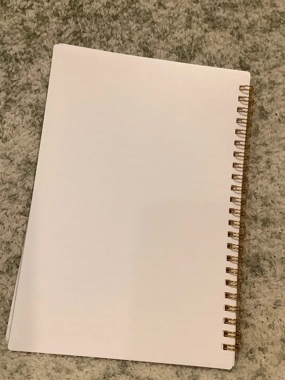 Spiral-Bound Mountain Lake Camping Travel Notebook Journal NWT ~75 lined pages
